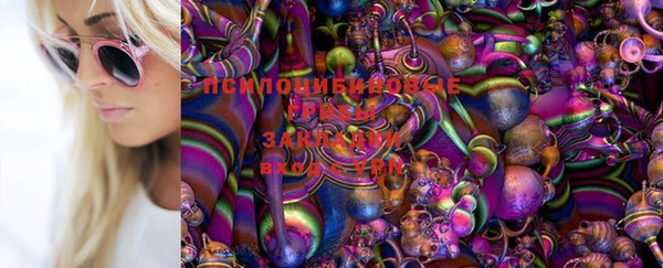 прущий лед Арсеньев