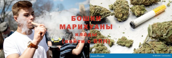 шишки Армянск