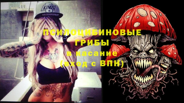 прущий лед Арсеньев