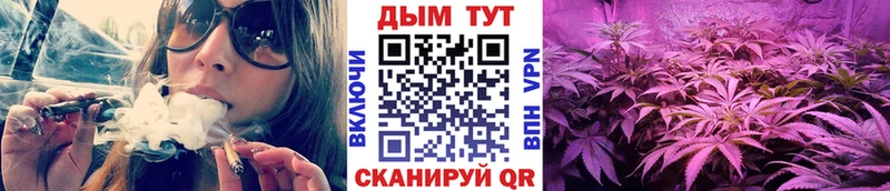 как найти наркотики  MEGA   Конопля OG Kush  Макушино 
